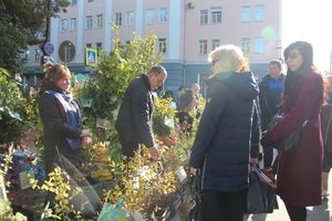 В Великих Луках прошла универсальная осенняя ярмарка (ФОТО)