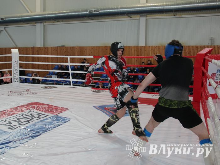 В Великих Луках завершился открытый кубок по смешанному боевому единоборству ММА (ФОТО)