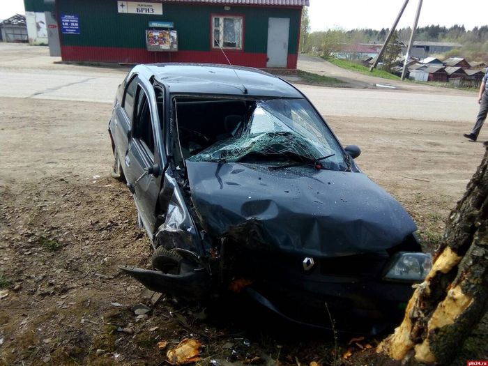 В поселке Кунья водитель «Рено» не смог разминуться с деревом (ФОТО)