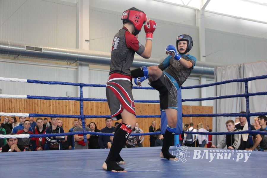 1-й Фестиваль боевых искусств состоялся в Великих Луках  (ФОТО)