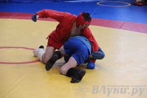 Первенство Псковской области по самбо