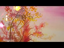 Импульс-ТВ: Выставка Светланы Веселовой