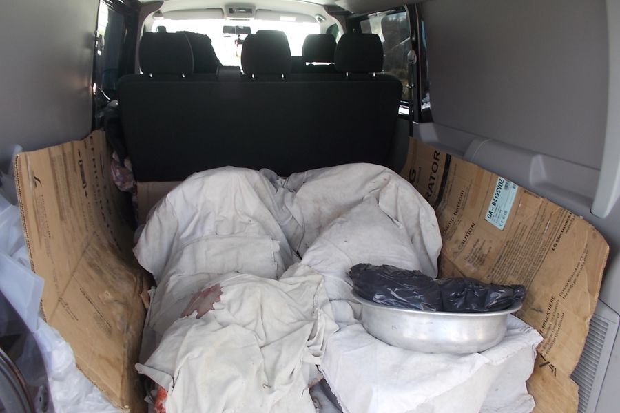 Мужчина хотел провезти 360 кг говядины из Псковской области без соответствующих документов (ФОТО)