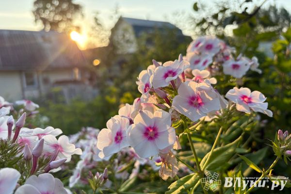 В Псковской области ожидается резкий перепад температур: ночью +6, днём +27