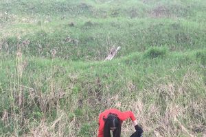 Журналистки Великих Лук провели субботник (ФОТО)