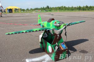 В Великих Луках прошли воздушные бои (фото)