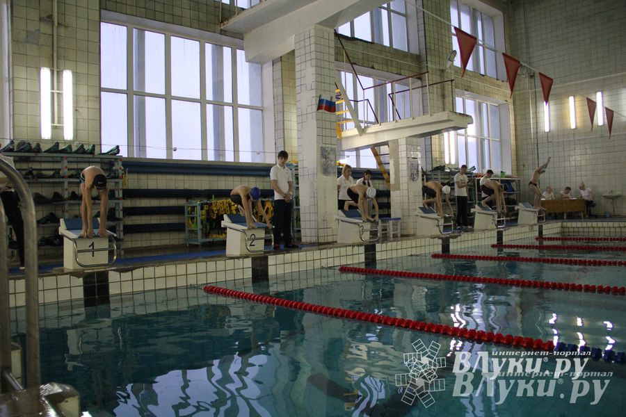 В Великих Луках прошло Первенство по плаванию (фото)