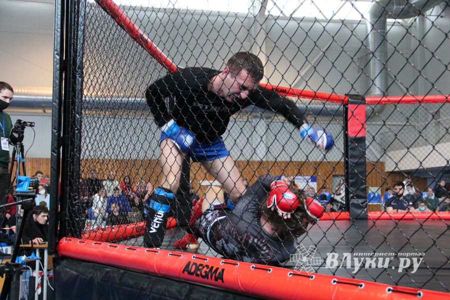 В Великих Луках прошел кубок по смешанному боевому единоборству (ФОТО)