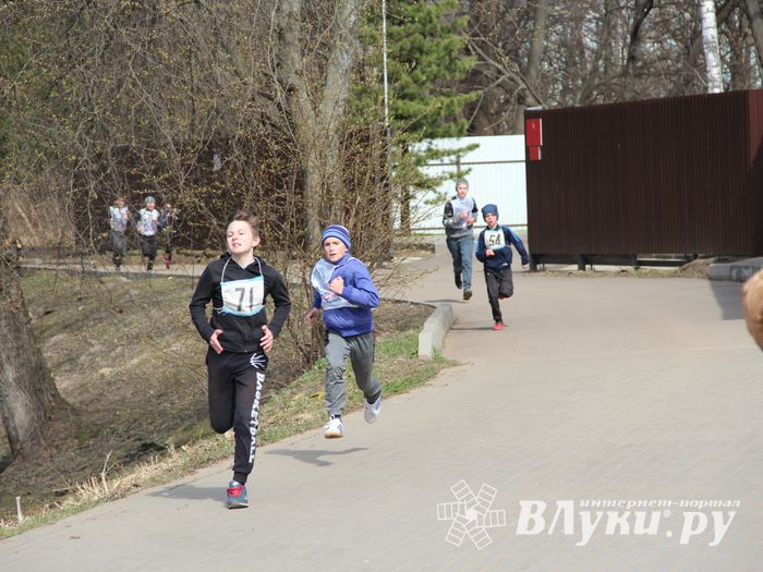 В Великих Луках прошёл легкоатлетический кросс (ФОТО)