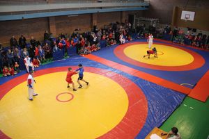 В Великих Луках проходит турнир самбистов (ФОТО)