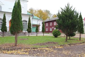 Куда исчезли пихты у Свято-Вознесенского собора в Великих Луках