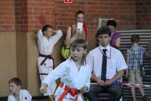 Турнир по каратэ