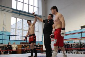 Открытый Кубок города Великие Луки по смешанному боевому единоборству (ММА)