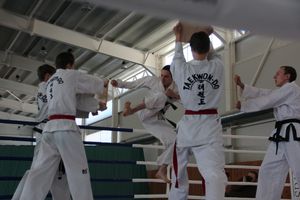 В Великих Луках проходит открытый кубок по смешанному боевому единоборству ММА (ФОТО) (12+)