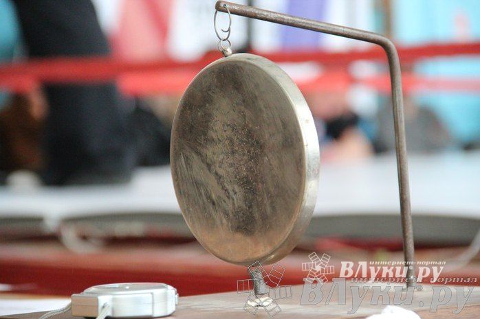 Чемпионат Псковской области по ММА