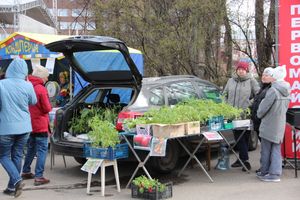В Великих Луках прошла ярмарка «Весна - 2022» (ФОТО)