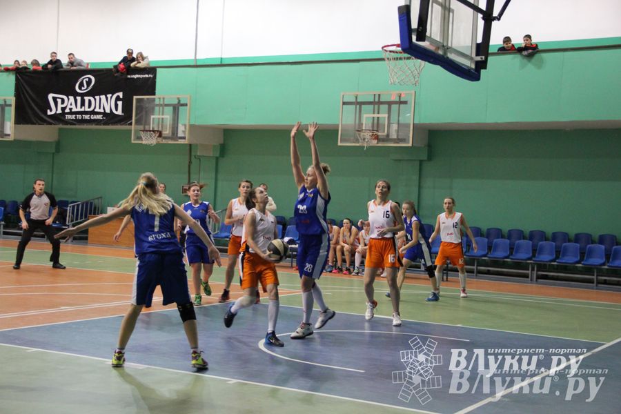 В Великих Луках состоялась игра в рамках Чемпионата АСБ (фото)