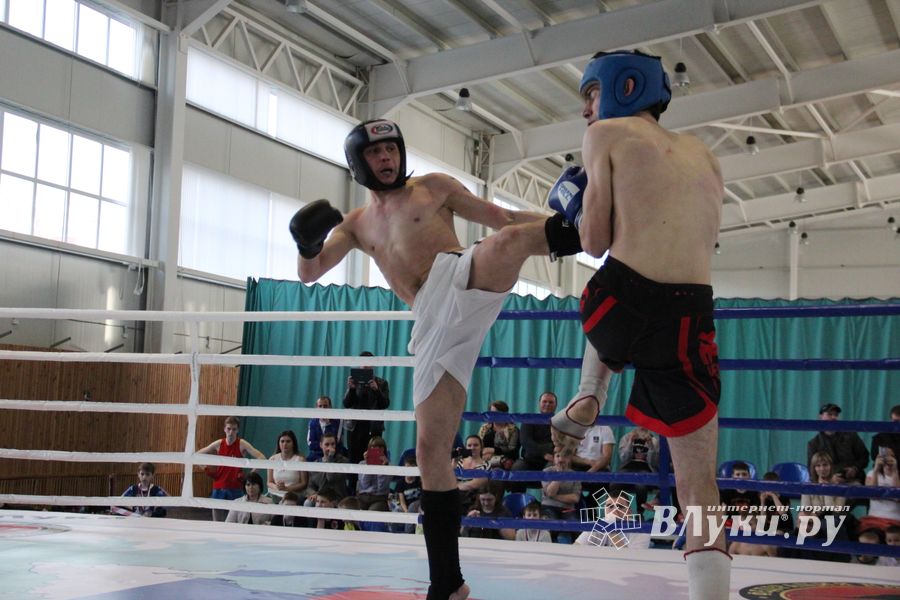 В Великих Луках прошел Кубок области по кикбоксингу (ФОТО)