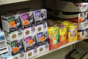 «Zooбастики»: подарите праздник своим любимцам! (ФОТО+ВИДЕО)