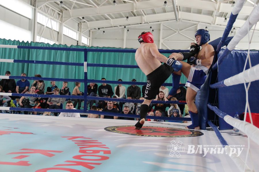 В Великих Луках прошел Кубок области по кикбоксингу (ФОТО)