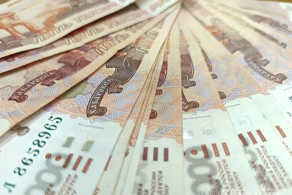 Судебные приставы взыскали 227 тысяч с матери, лишённой родительских прав