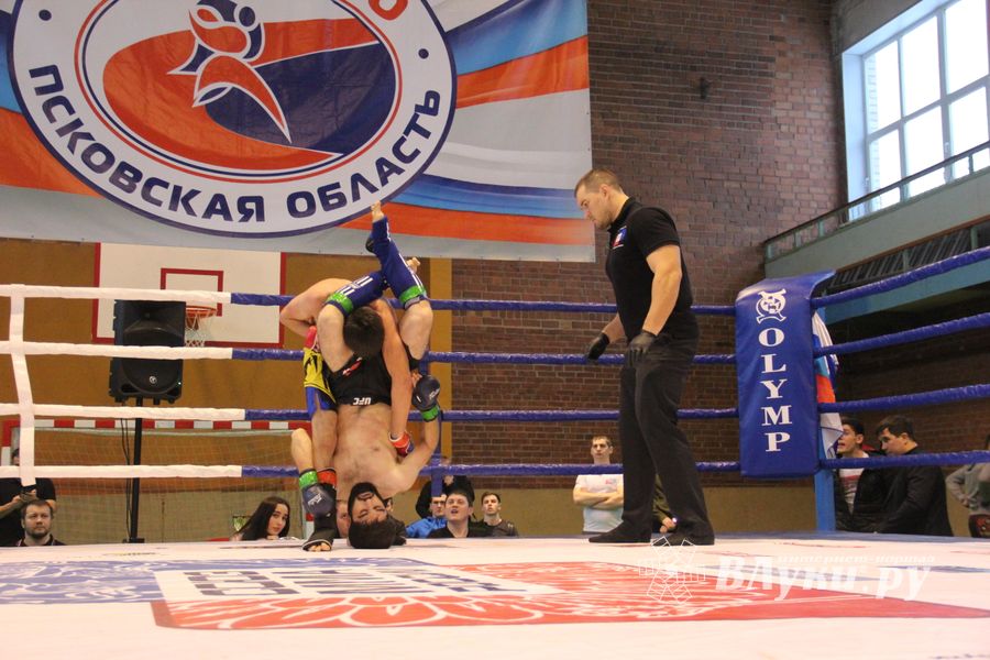 В Великих Луках прошел международный открытый Кубок по смешанному боевому единоборству (ФОТО) (16+)