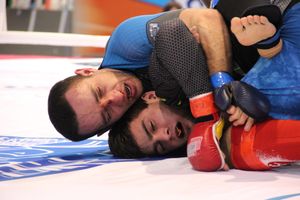 Открытый кубок по смешанному боевому единоборству ММА прошел в Великих Луках (ФОТО)