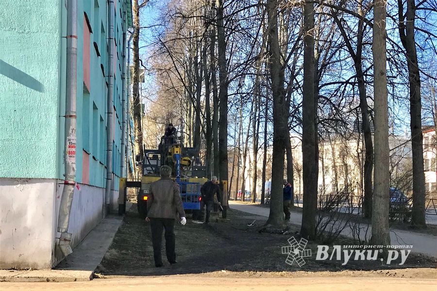 В Великих Луках обидели шуфитистов (ФОТО)