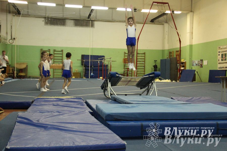 В Великих Луках состоялось Первенство по командной гимнастике (фото)