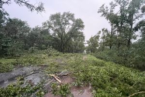 Весь ужас вчерашнего урагана в Великих Луках и районе (ФОТО, ВИДЕО)