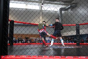 В Великих Луках прошел кубок по смешанному боевому единоборству (ФОТО)