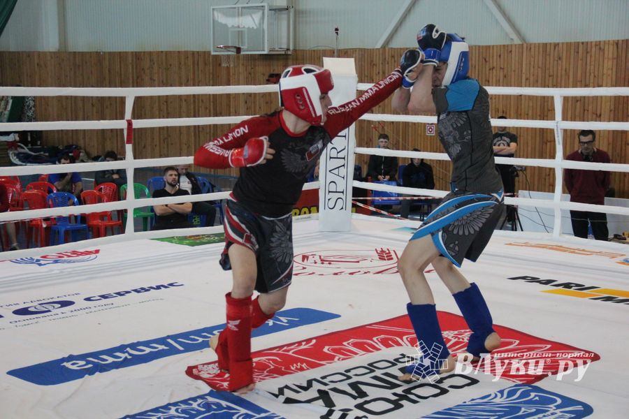 В Великих Луках завершилось Первенство России среди юношей по смешанному боевому единоборству ММА (ФОТО)