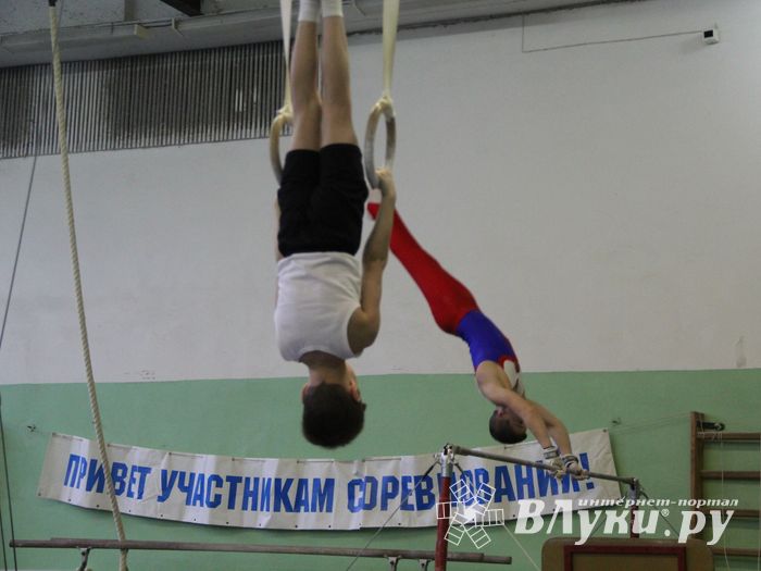 В Великих Луках прошло Первенство города по спортивной гимнастике (фото)