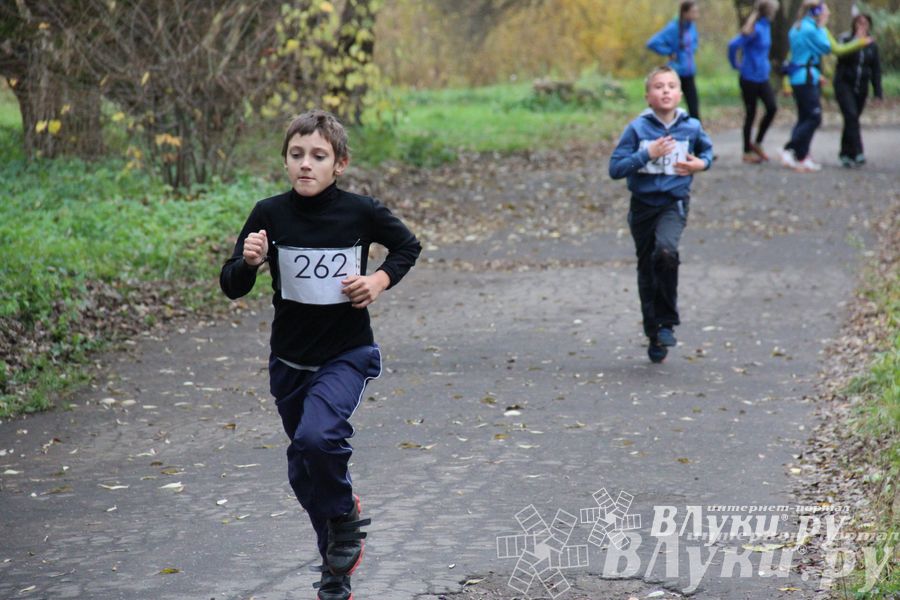 Легкоатлетический осенний кросс прошел в Великих Луках (фото)