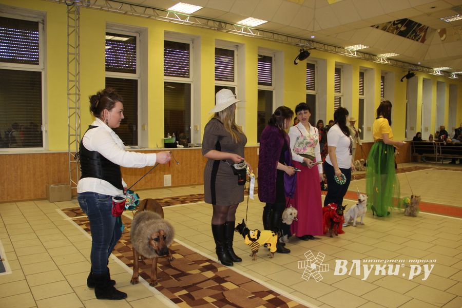 Всероссийская выставка собак в Великих Луках (фото)