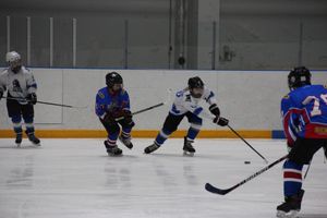 В Великих Луках прошел детский Открытый турнир по хоккею (ФОТО)