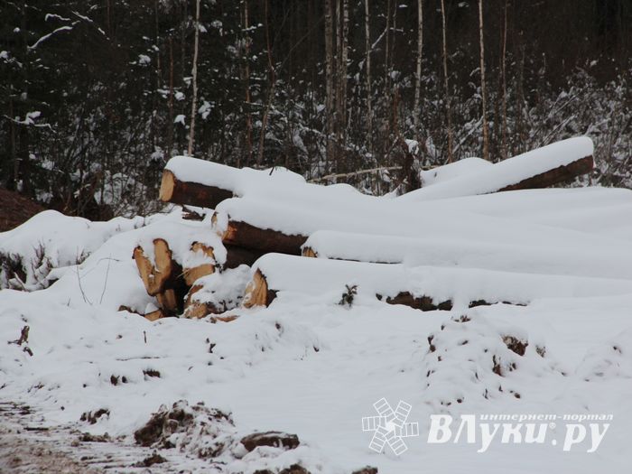 В Великих Луках ведется строительство центра по подготовке велосипедистов (ФОТО)