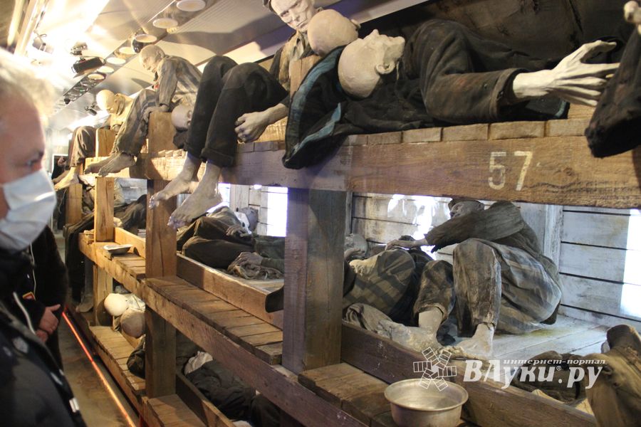 Великолучане знакомятся с «Поездом Победы» (ФОТО)