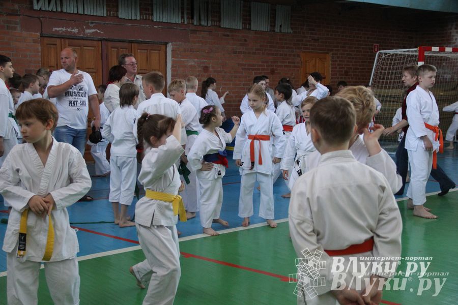 Великолучане стали победителями турнира по каратэ «Неприкосновенный запас, дети — Отчизны 2015» (фото)