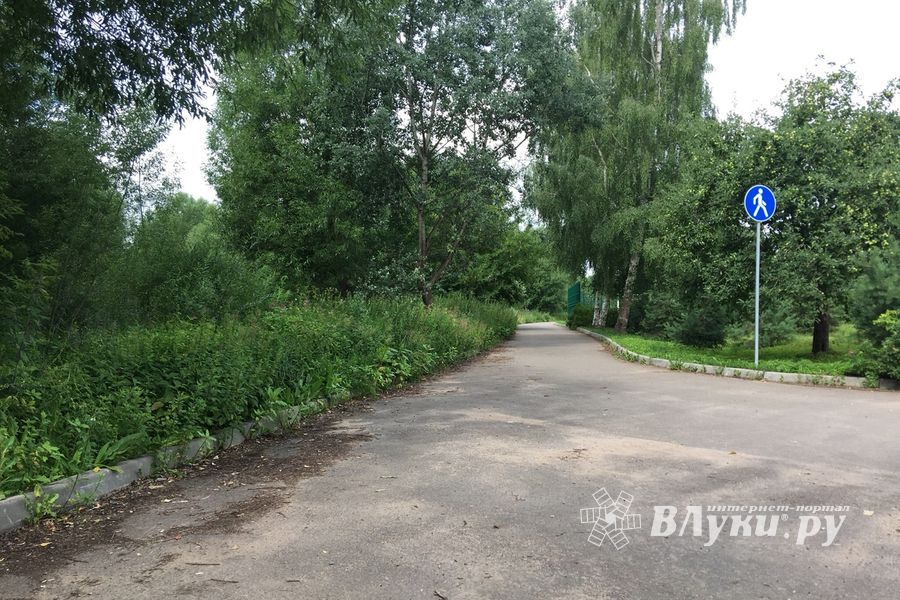 Необитаемый остров Дятлинка (ФОТО)