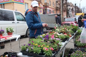 В Великих Луках прошла универсальная ярмарка «Весна-2019» (ФОТО)