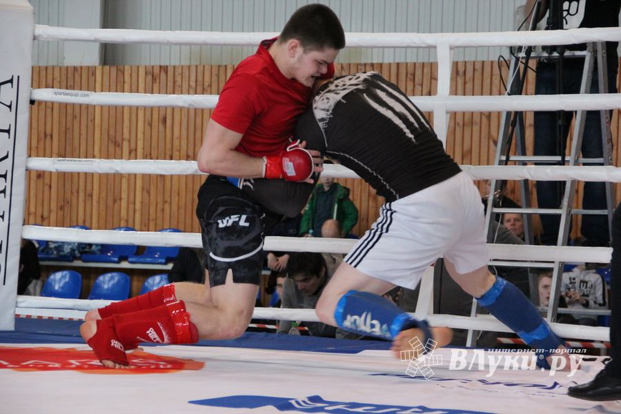 Открытый кубок по смешанному боевому единоборству ММА прошел в Великих Луках (ФОТО)