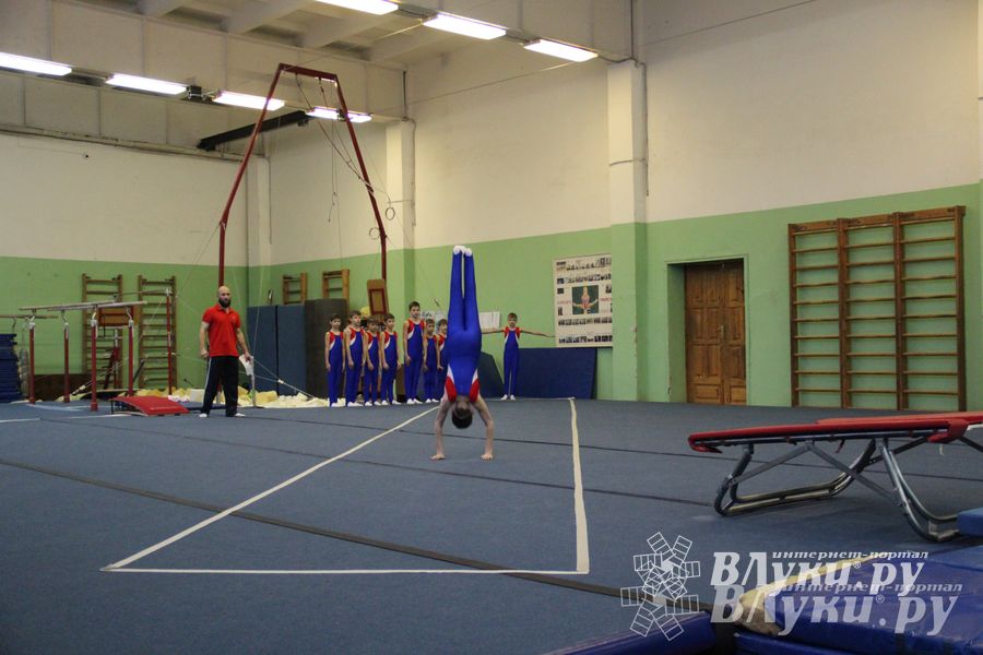 В Великих Луках состоялось Первенство по командной гимнастике (фото)