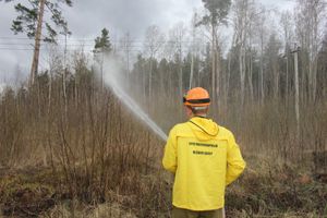 В Пскове прошли Всероссийские командно-штабные учения (фото)