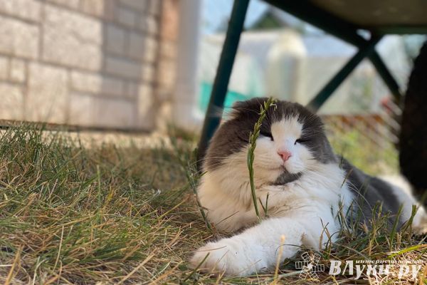 Синоптики рассказали о погоде на неделю