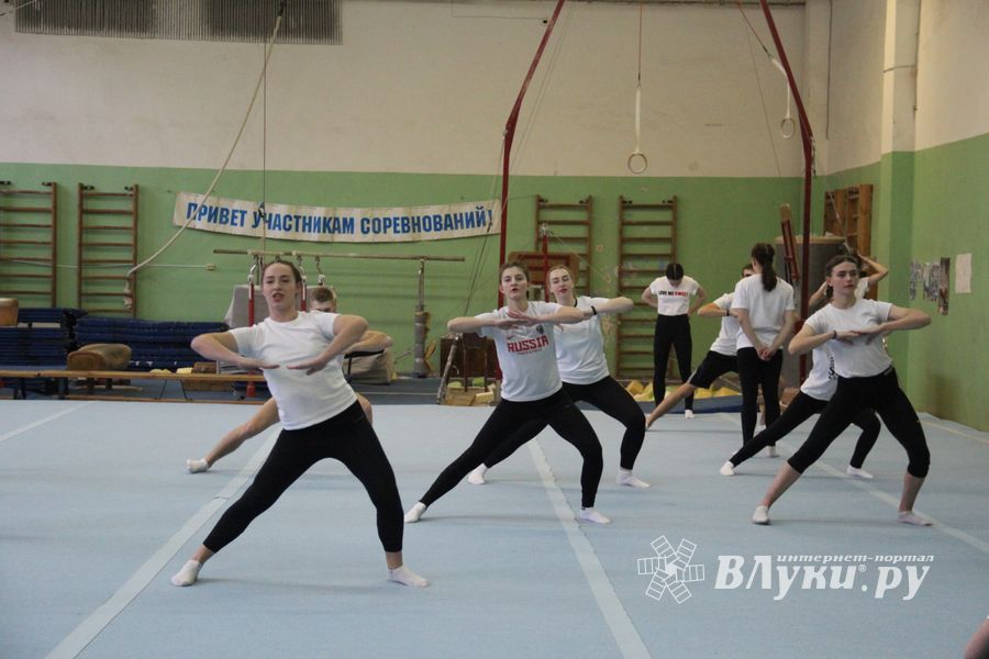 В Великих Луках проходят соревнования по гимнастике (ФОТО)