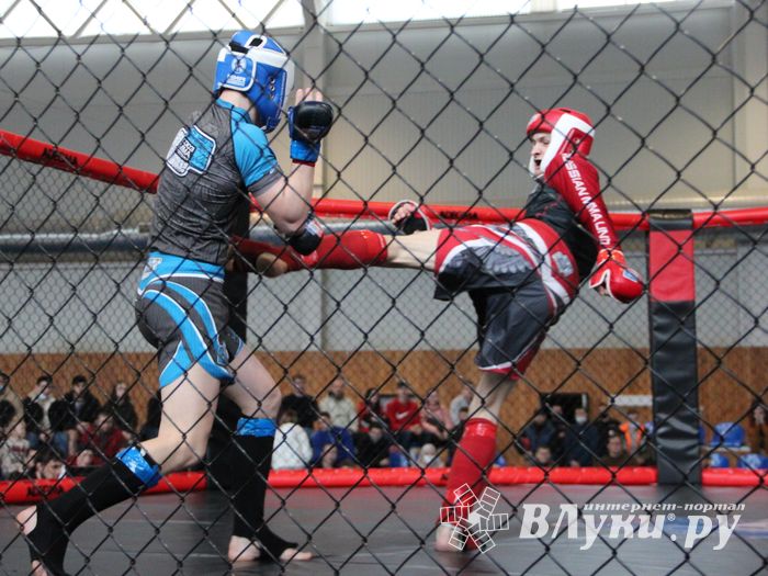 В Великих Луках прошел кубок по смешанному боевому единоборству (ФОТО)