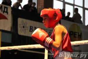 Открытие 16-го  Международного турнира по боксу