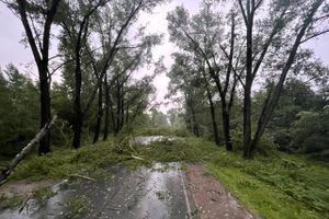 Весь ужас вчерашнего урагана в Великих Луках и районе (ФОТО, ВИДЕО)