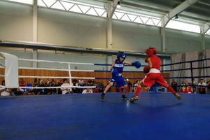 1-й Фестиваль боевых искусств состоялся в Великих Луках  (ФОТО)